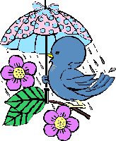 Picture: Birdie