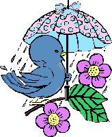 Picture: Adorable Bird